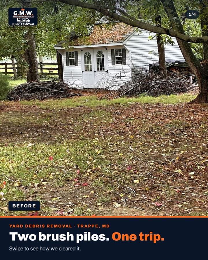 Before: two brush piles beside a shed in Trappe, MD