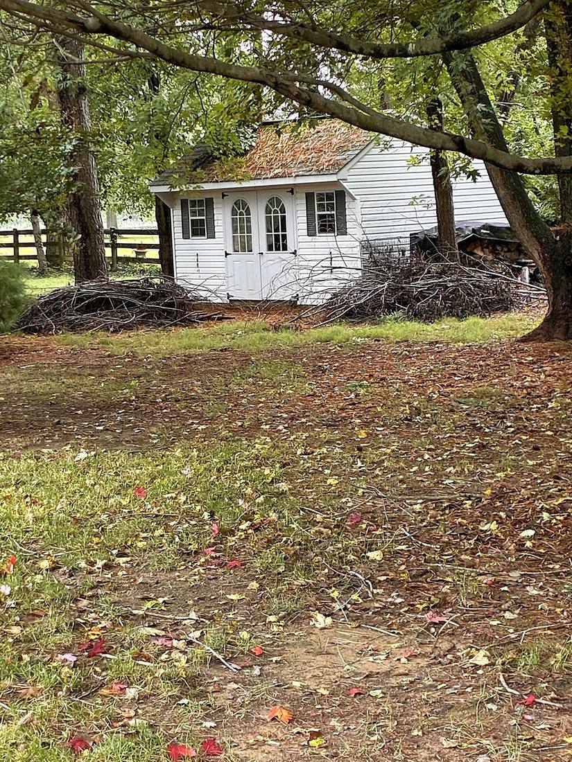 Brush piles next to a shed in Trappe, MD