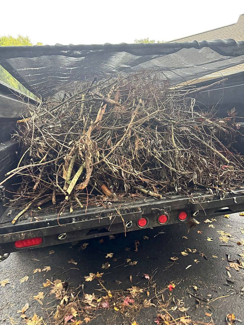 Dump trailer loaded with brush