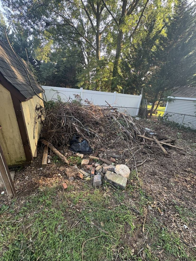 Backyard brush pile before cleanup
